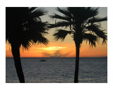 Sunset in Paradise Fotografisk trykk av Chris M Burns