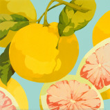 Fresh Grapefruits Affiches par Martha Negley