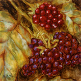 Ripening Berries Poster by Nicole Etienne