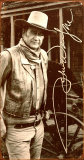 John Wayne Blikskilt