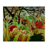 Tiger in Tropical Storm, c.1891 Láminas por Henri Rousseau