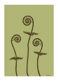 Dichromatic Fiddleheads III Prints by Vanna Lam