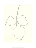 Feuille d'Arbre-Corail, c.1987 Serigrafie von Ellsworth Kelly