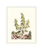 Grandiose View IV Giclee Print by Abraham Munting