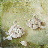 Allium Sativum Affiche par Maritta Haggenmacher