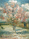 Blühender Pfirsichbaum (Rosa) Poster von Vincent van Gogh