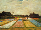 Flower Beds in Holland, 1883 Poster di Vincent van Gogh Flower Beds in Holland, 1883 Poster di Vincent van Gogh