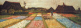 Flower Beds in Holland, c.1883 Posters by Vincent van Gogh