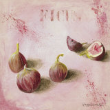 Ficus Prints by Maritta Haggenmacher