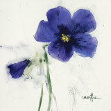 Pansies IV Plakater af Marthe