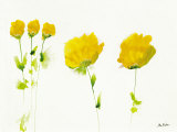 Untitled III Posters by Jean Picton