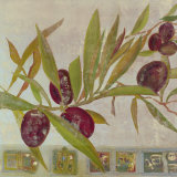 Olive II Posters by Rose Richter-armgart