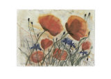 Poppy Field II Láminas por Dieter Hecht
