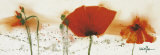 Poppies in the Wind IV Taide tekijänä Marthe Poppies in the Wind IV Taide tekijänä Marthe