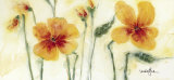 Pansies VII Kunstdrucke von Marthe 