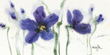 Pansies VIII Prints by Marthe Pansies VIII Prints by Marthe