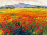 Amapolas III Prints by Jesús P. Camargo