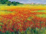 Amapolas IV Poster by Jesús P. Camargo