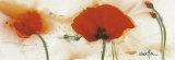 Poppies in the Wind III Kunstdrucke von Marthe 