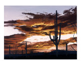 Sunset with Saguaro II Giclee Print by Patricia Ackor