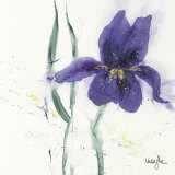 Iris II Poster by Marthe 