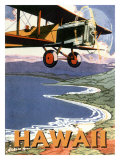 Hawaii, Sight Seeing by Air reproduction procédé giclée
