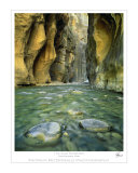 Zion Narrows Photographic Print by Patrick McDonald