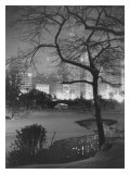 Winter at Night, New York, Central Park Wydruk giclee Winter at Night, New York, Central Park Wydruk giclee