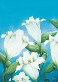 Fresh Lilies Posters by Alicia Sloan