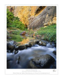 Death Hollow Photographie par Patrick McDonald