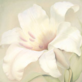Lilium Grandiosa Prints by Annemarie Peter-jaumann