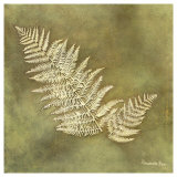 Organic Fern Plakat av Alexandra Bex