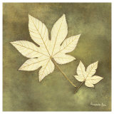Maple Leaf Posters av Alexandra Bex