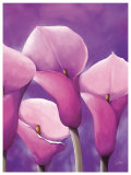 Energy in Pink Pósters por Alicia Sloan Energy in Pink Pósters por Alicia Sloan