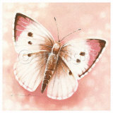 Lycaenidae Prints by Arkadiusz Warminski