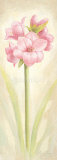 Pleasure Posters av Angela Bionda