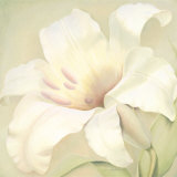 Lilium Grandiosa Poster by Annemarie Peter-jaumann Lilium Grandiosa Poster by Annemarie Peter-jaumann