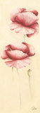 Graceful I Posters by Alicia Sloan