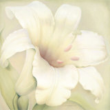 Lilium Famosa Prints by Annemarie Peter-jaumann Lilium Famosa Prints by Annemarie Peter-jaumann
