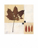 Indian Summer Prints by Anna Conti Indian Summer Prints by Anna Conti