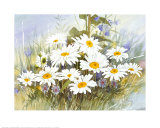 Tell Me More Prints by Franz Heigl