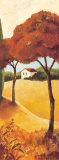 Montecastello III Posters by Claudia Ancilotti