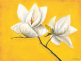 Magnolia's Yellow Symphony Posters by Caroline Wenig