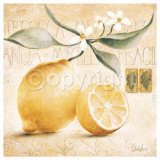 Citronnier Affiche par Claudia Ancilotti