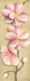 Fleurs de printemps Affiches par Caroline Wenig