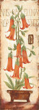 Barcelona Póster por Claudia Ancilotti Barcelona Póster por Claudia Ancilotti