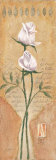 Rose is a Rose Posters by Laura Martinelli