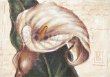 I Remember Calla Prints by Paula Reed