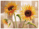 Sunny Times Poster by Rian Withaar