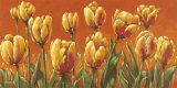 My Tulip Field Poster by Mona 